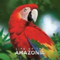 Life Of The Amazonia KS Edition