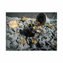 AQUACULTURE TANK 007: Fiddler Crab (Gold Black) Plastic Model -Bandai Sales Store aquaculture tank 007 fiddler crab gold black plastic model 5