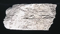 Woodland Scenics C1217 Earth Color - Concrete (4 Oz.) -Bandai Sales Store c1217