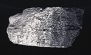 Woodland Scenics C1220 Earth Color - Black (4 Oz.) 3 Woodland Scenics C1220 Earth Color - Black (4 Oz.) - Image 3