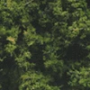 Woodland Scenics F1130 Fine Leaf Foliage - Dark Green (75 Cu. In.)
