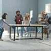 Franklin TABLE TENNIS ANYWHERE