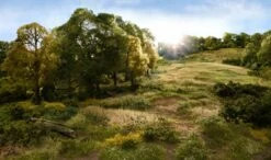 Woodland Scenics Woodland FS613 Static Grass 2mm Dark Green 5 Woodland Scenics Woodland FS613 Static Grass 2mm Dark Green -Bandai Sales Store oodland scenic static grass