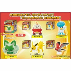 Pokemon MonColle Box Vol.9 10 Pack BOX