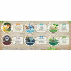 Pokemon Terrarium Collection 12 6Pack BOX