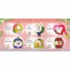 Pokemon Wreath Collection Happiness Wreath 6Pack BOX