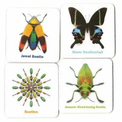 INCREDIBLE INSECTS MEMORY CARDS
