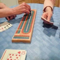 CRIBBAGE -Bandai Sales Store pressman goliath jax games cribbage 2