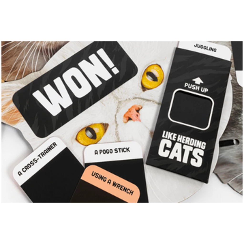 LIKE HERDING CATS GAME 5 LIKE HERDING CATS GAME - Image 5