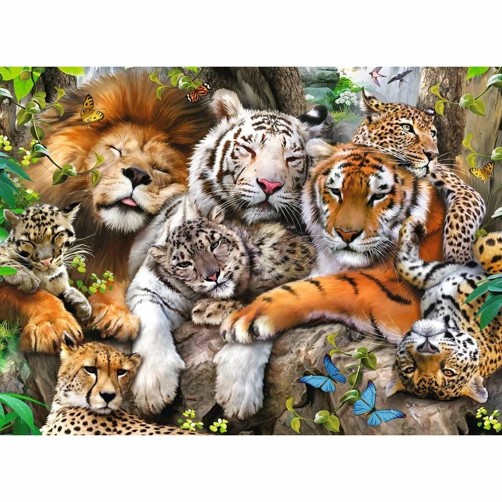 BIG CAT NAP 200 PIECE PUZZLE 1 BIG CAT NAP 200 PIECE PUZZLE