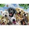 DELIGHTED DOGS 300 PIECE PUZZLE