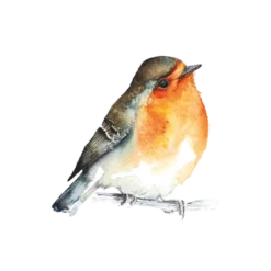 Rebel MEADOW GAME -Bandai Sales Store rebel meadow game 14