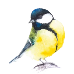 Rebel MEADOW GAME -Bandai Sales Store rebel meadow game 16