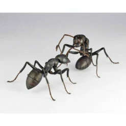 REVO GEO Japanese Carpenter Ant