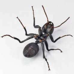 REVO GEO Japanese Carpenter Ant -Bandai Sales Store revo geo japanese carpenter ant 4