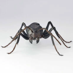 REVO GEO Japanese Carpenter Ant -Bandai Sales Store revo geo japanese carpenter ant 5