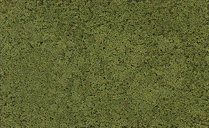 Woodland Scenics T63 Coarse Turf Bag, Light Green (18 Cu. In.) 1 Woodland Scenics T63 Coarse Turf Bag, Light Green (18 Cu. In.)