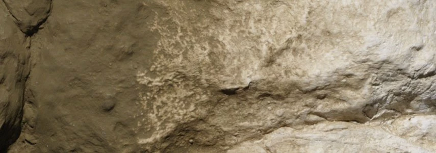 Woodland Scenics C1229 Earth Color Undercoat - Earth (8 Oz.) 2 Woodland Scenics C1229 Earth Color Undercoat - Earth (8 Oz.) - Image 2