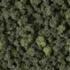 Woodland Scenics FC1649 Bushes Shaker - Forest Blend (50 Cu. In.)